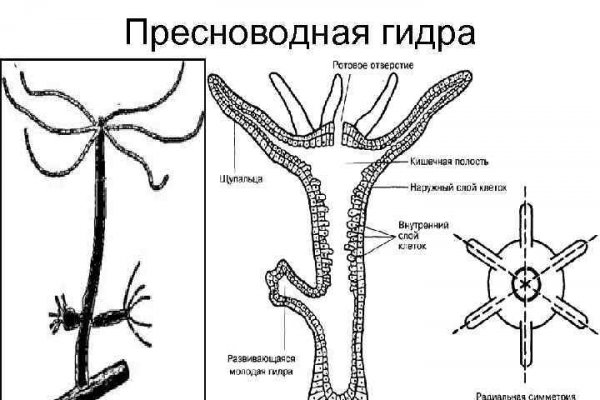 Магазин кракен дарк